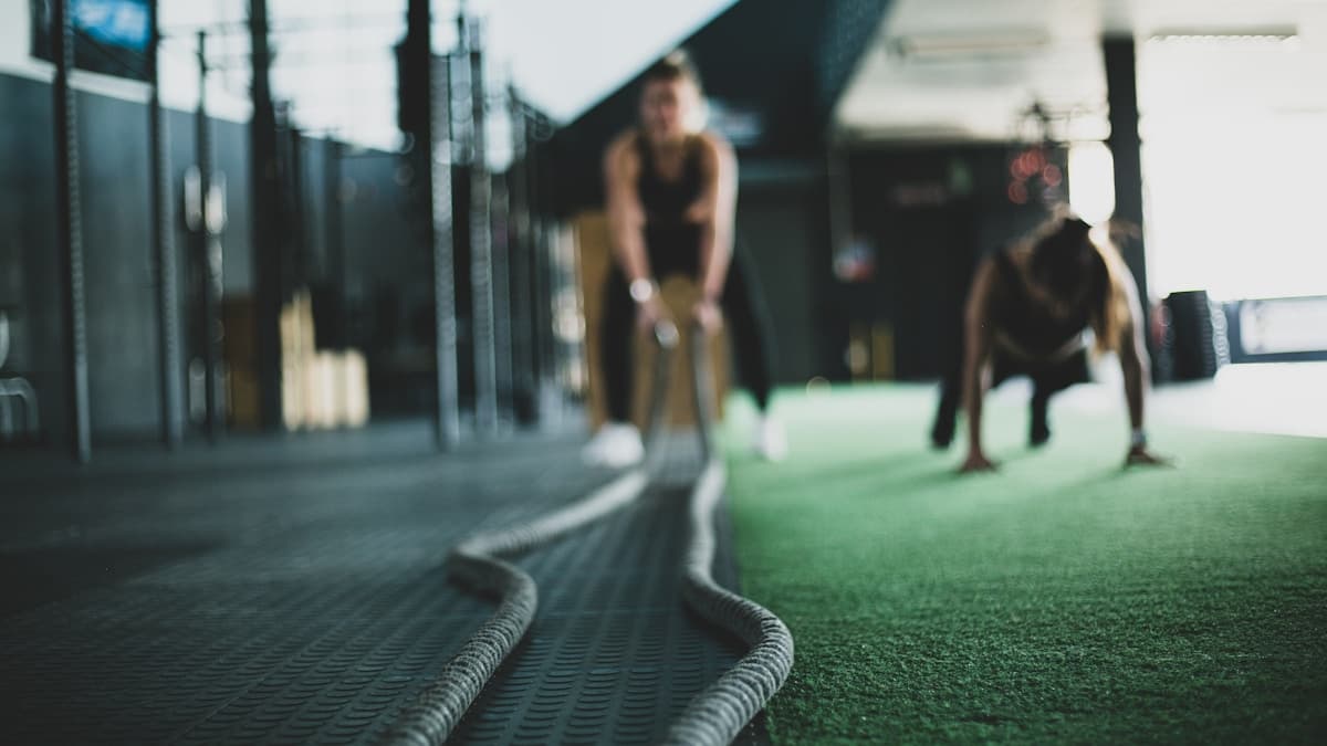 Members training in a modern Indian gym managed with WorkflowGym gym management system